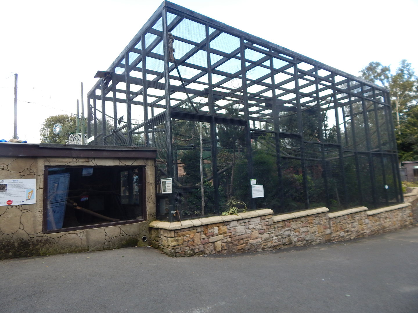 Fossa enclosure 200922