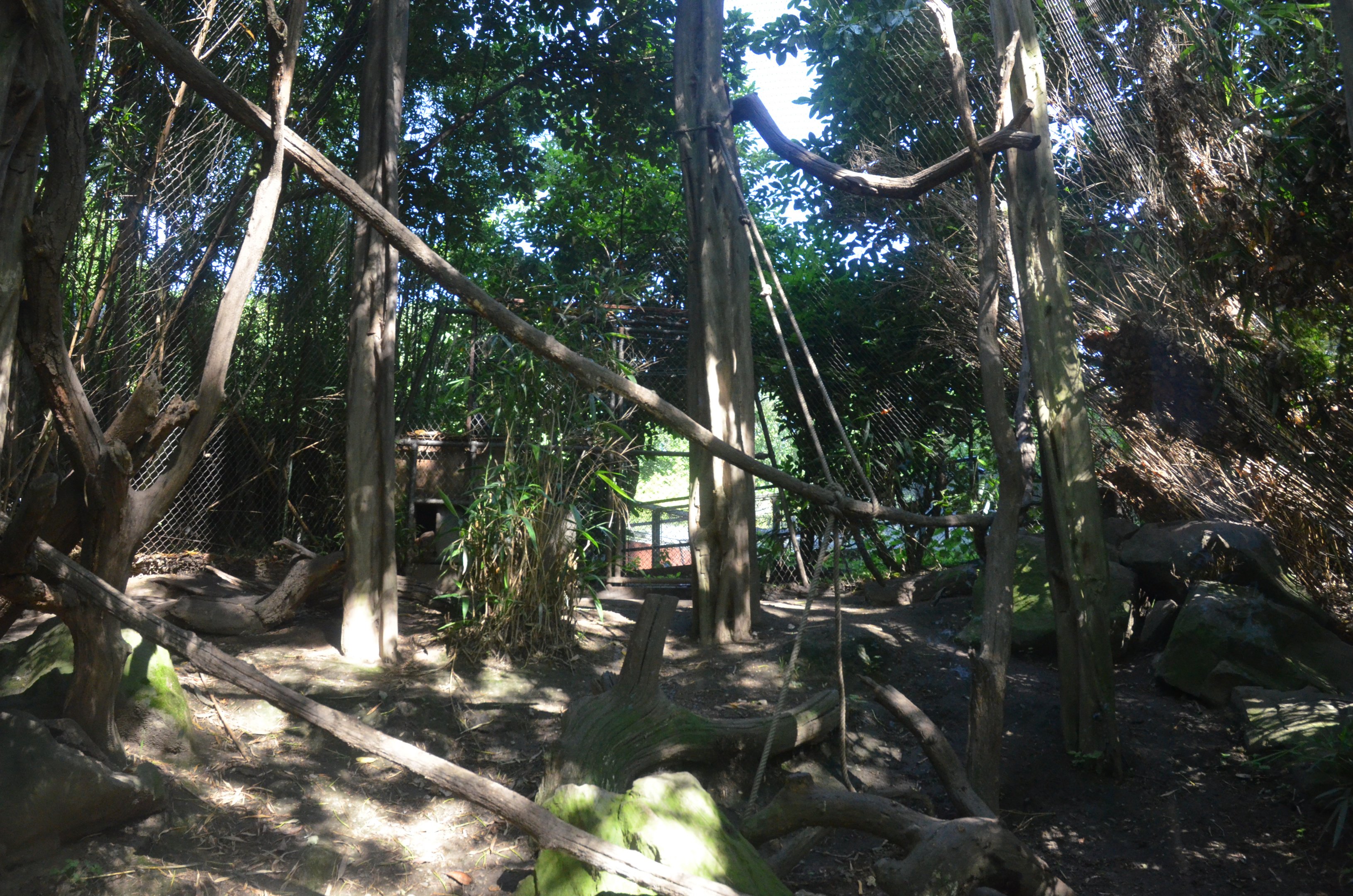 Fossa Enclosure at Duisburg, 17/06/19