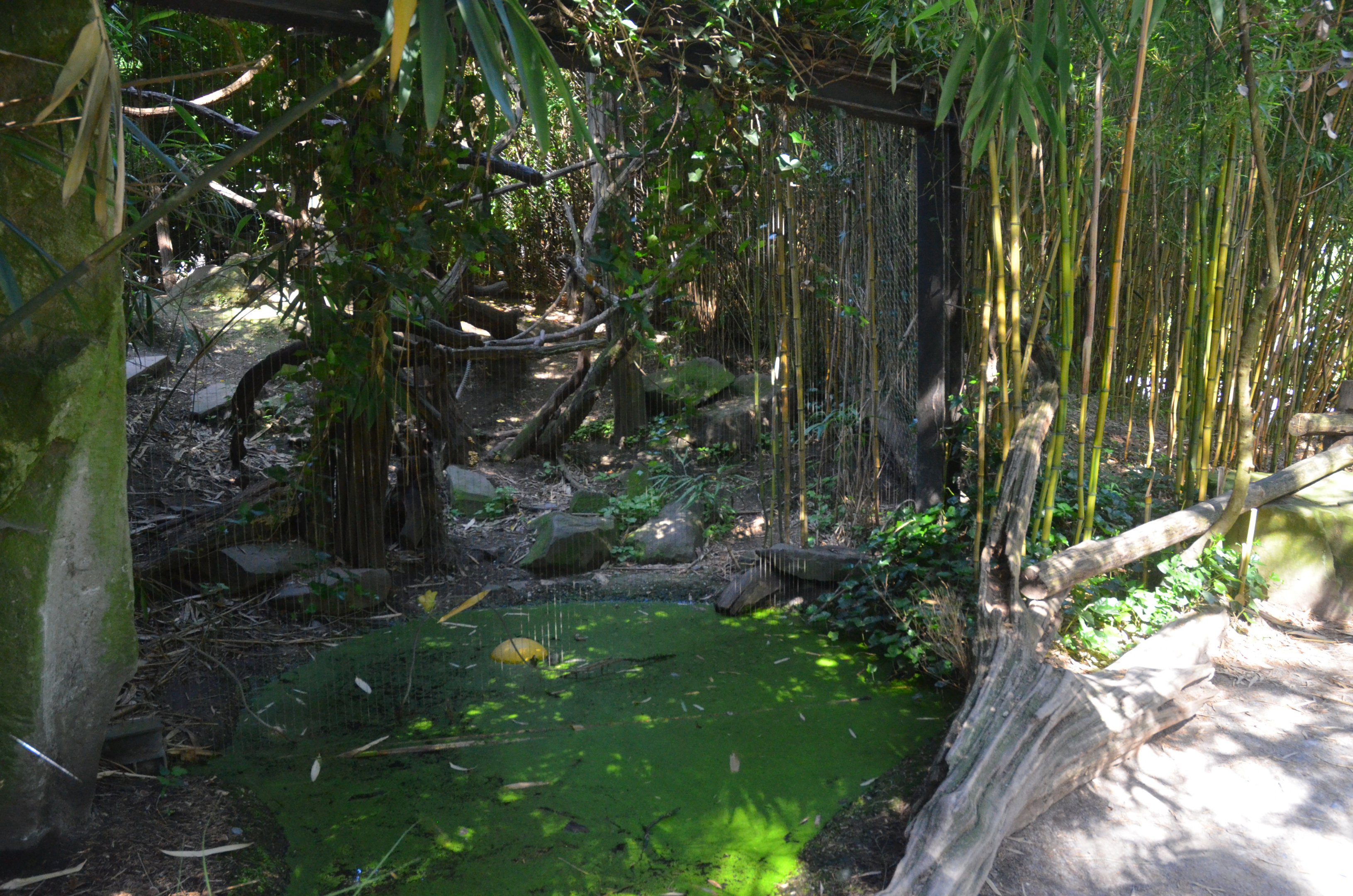 Fossa Enclosure at Duisburg, 17/06/19