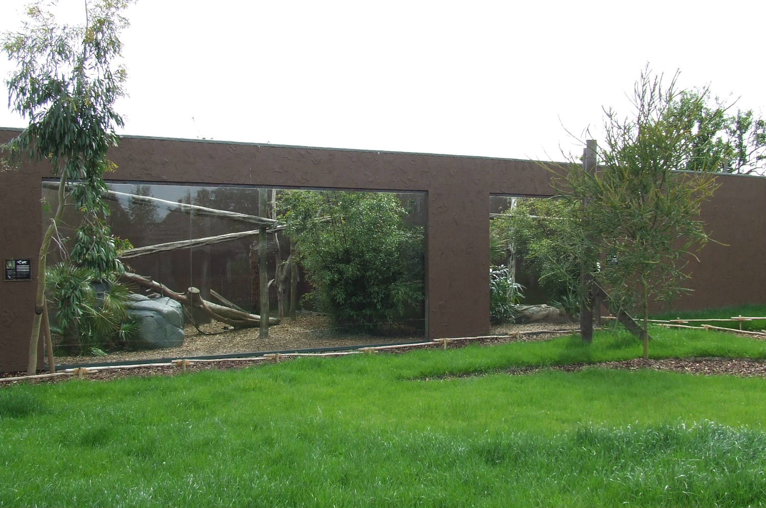 Fossa enclosure photos, Rare Species Conservation Centre, Sandwich