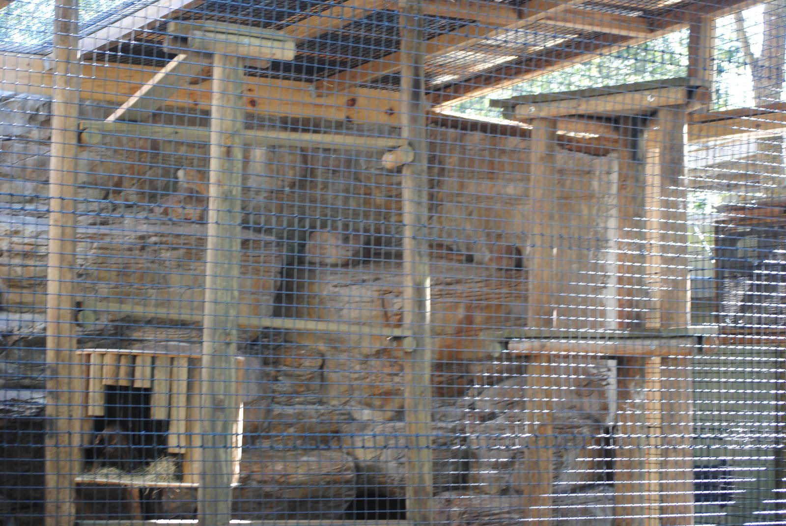 Fossa Enclosure