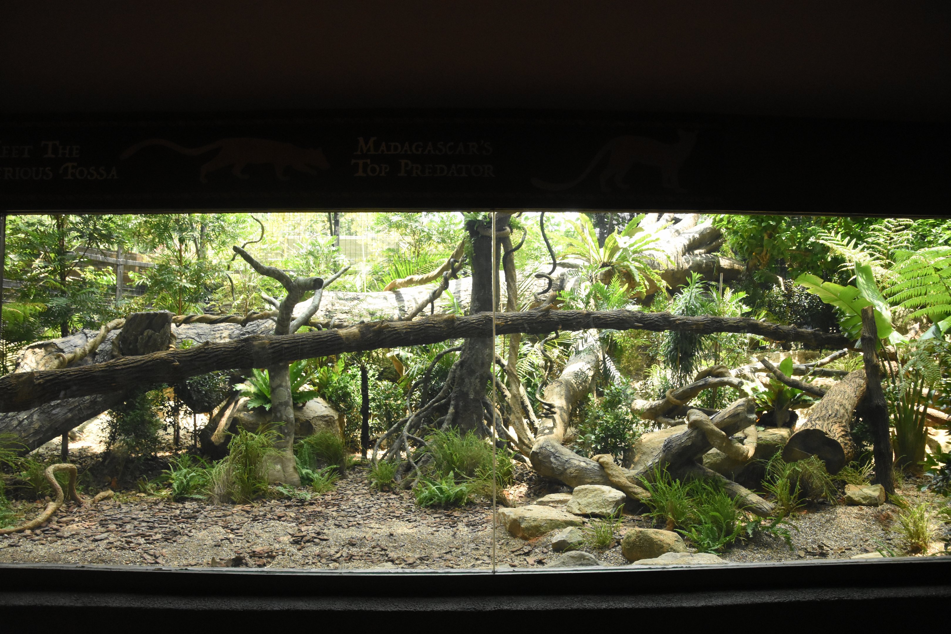 Fossa enclosure
