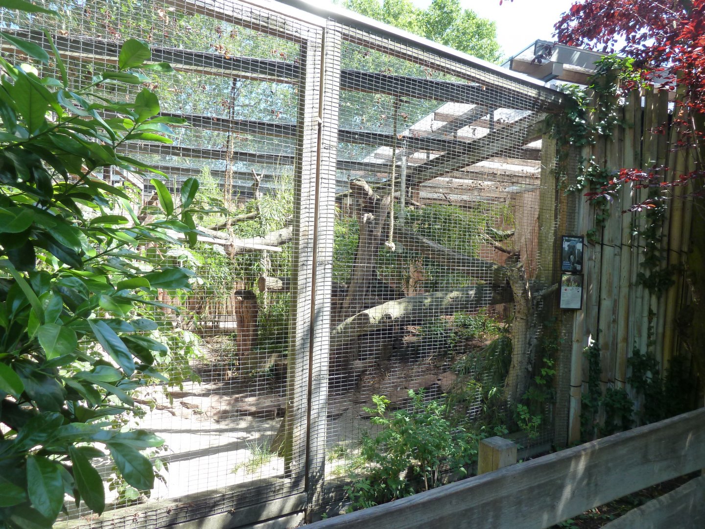 Fossa enclosure