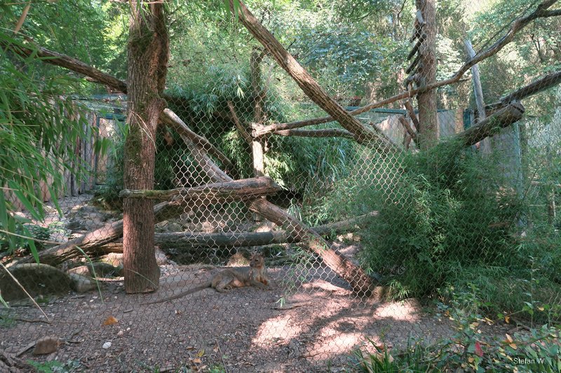 Fossa enclosure