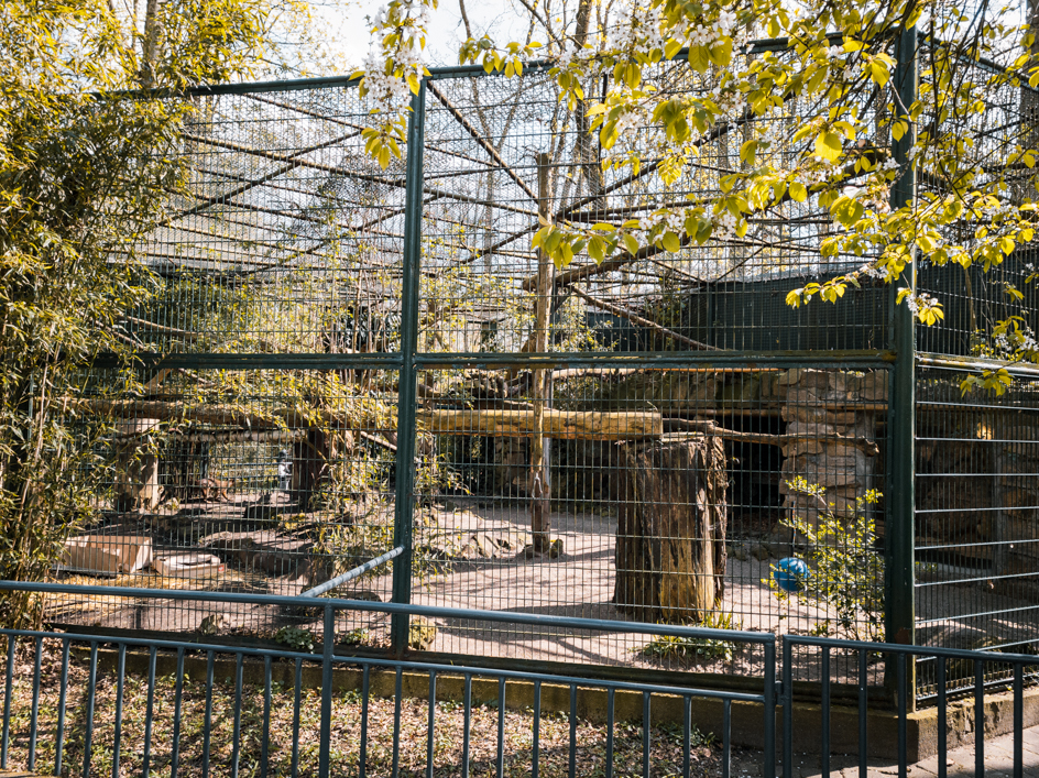 Fossa enclosure