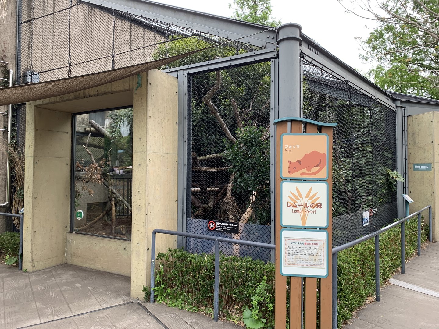 Fossa Enclosure