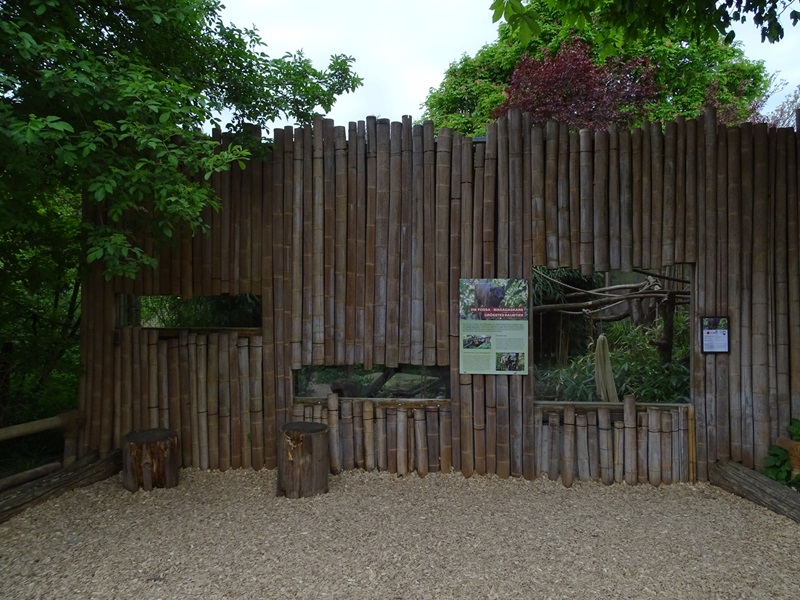 Fossa enclosure