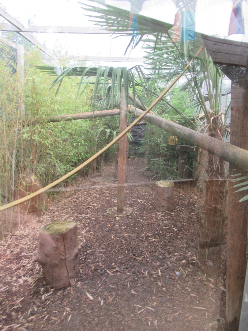 Fossa enclosure