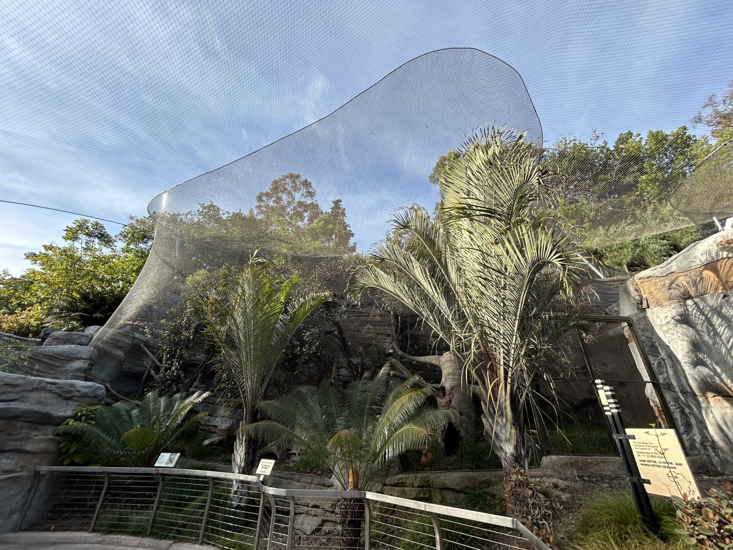 Fossa Exhibit #1 - Africa Rocks