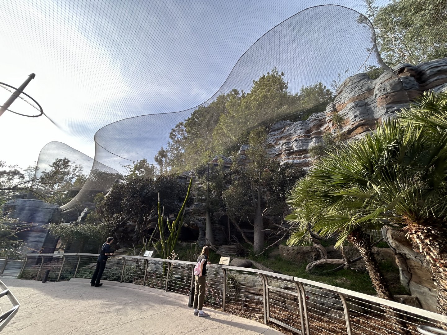 Fossa Exhibit #2 - Africa Rocks