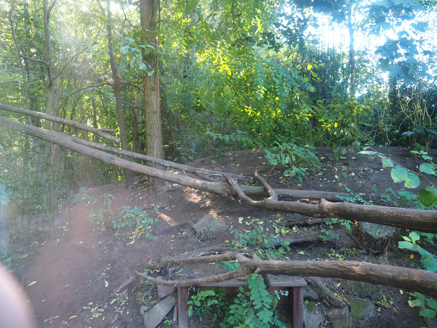 Fossa exhibit, 2022-10-09
