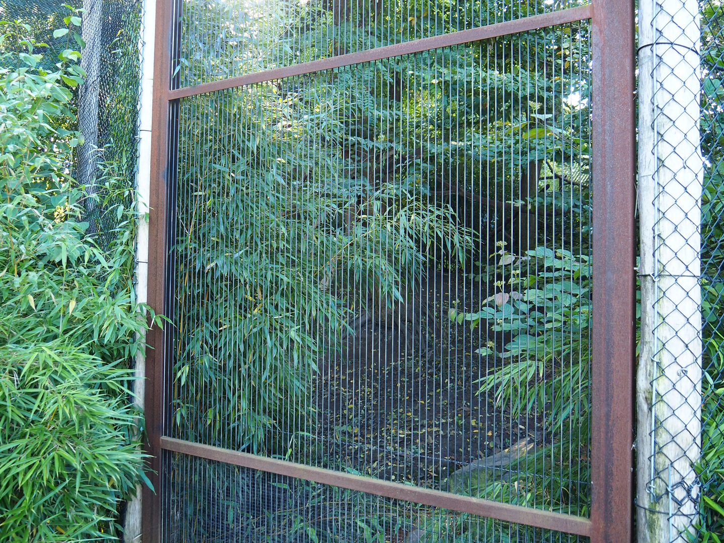 Fossa exhibit, 2022-10-09