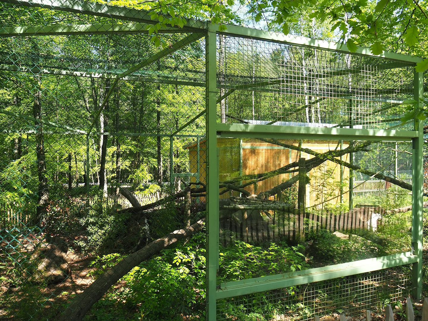 Fossa exhibit, 2023-05-19