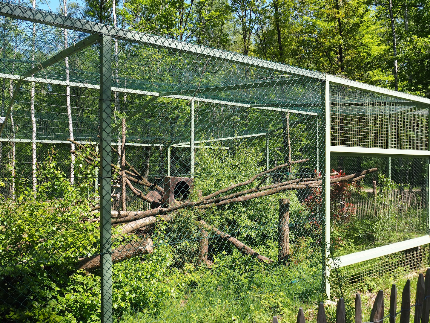 Fossa exhibit, 2023-05-19