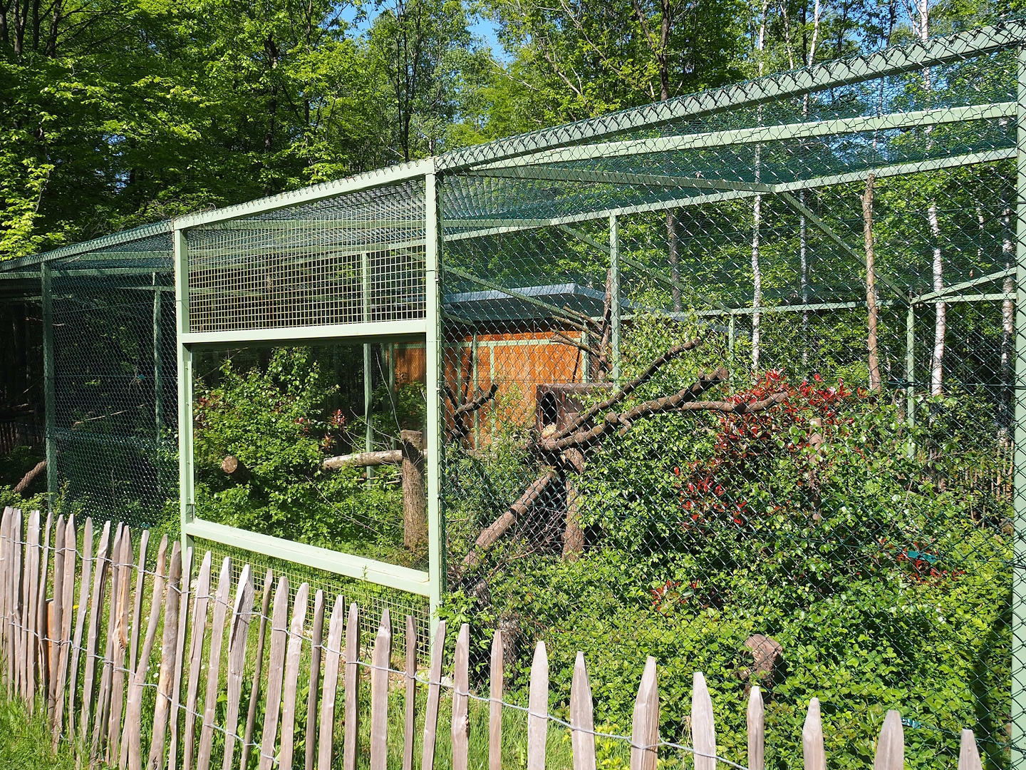 Fossa exhibit, 2023-05-19