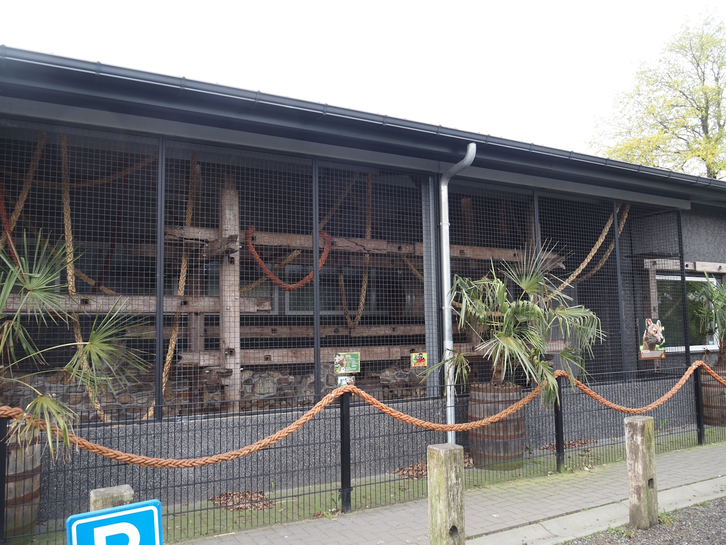 Fossa exhibit, 2024-04-14