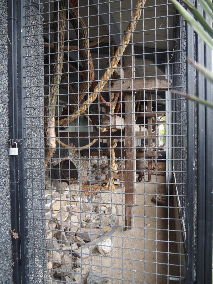 Fossa exhibit, 2024-04-14