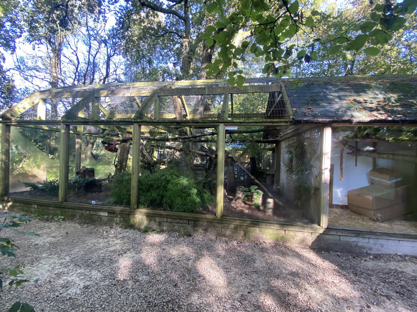 Fossa exhibit 230922