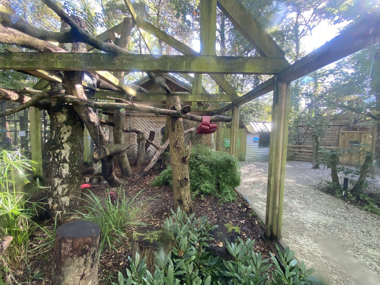 Fossa exhibit 230922