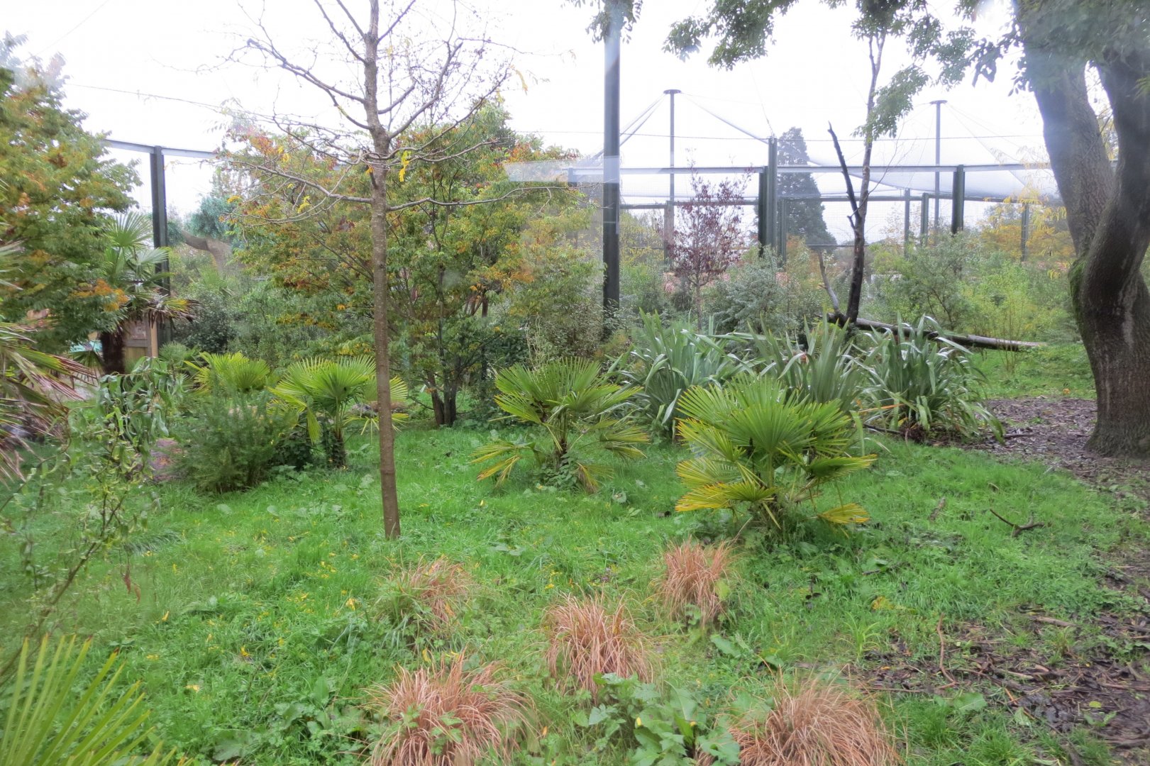 Fossa exhibit 261019