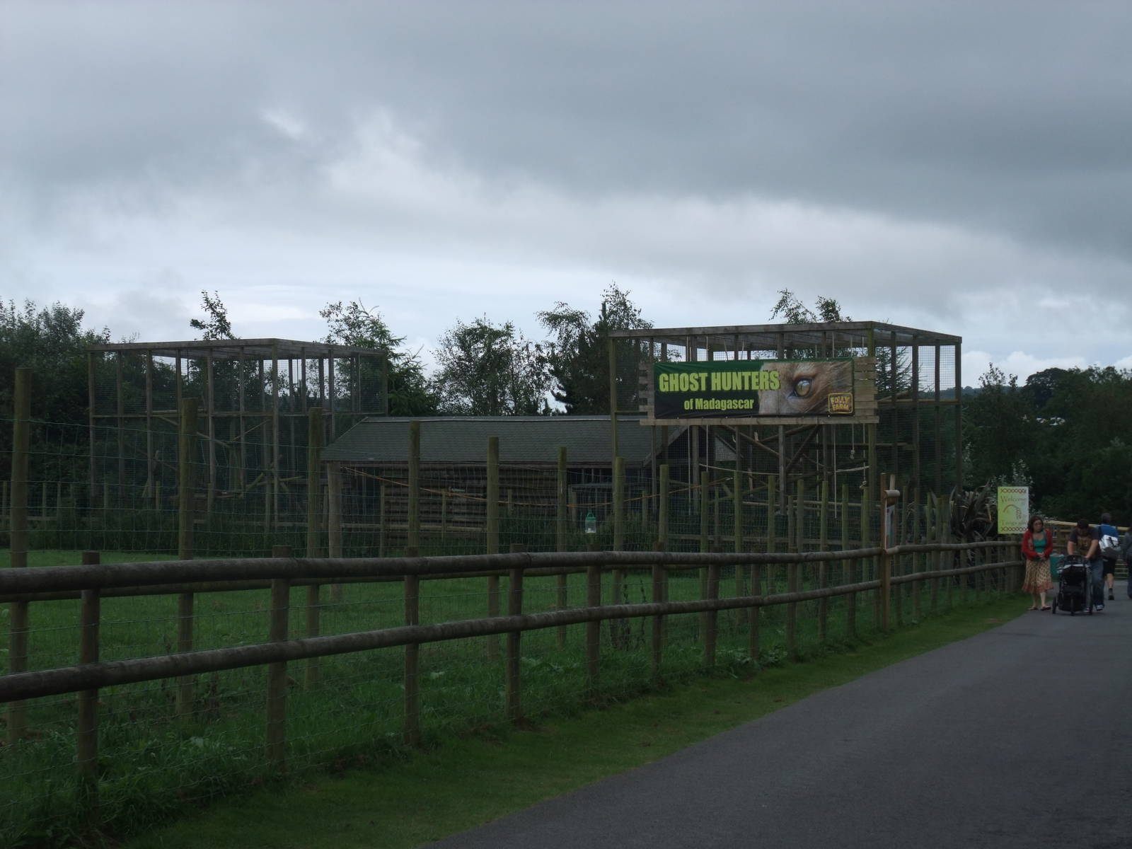 Fossa Exhibit at Folly Farm, 01/08/11