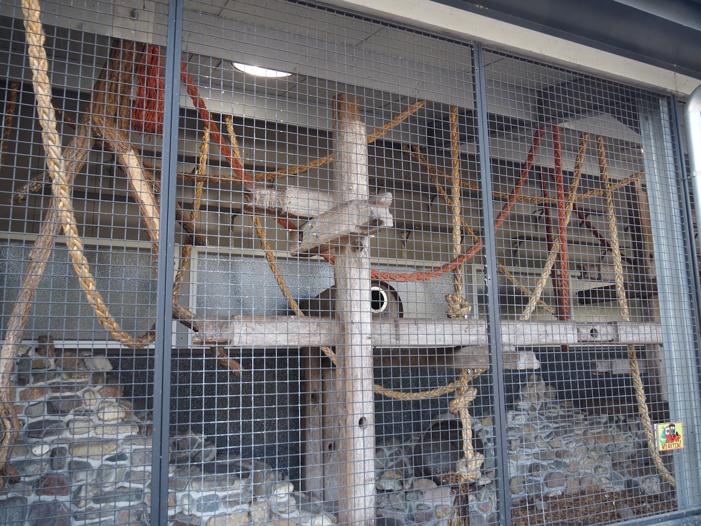 Fossa exhibit in the entrance building, 2025-04-12