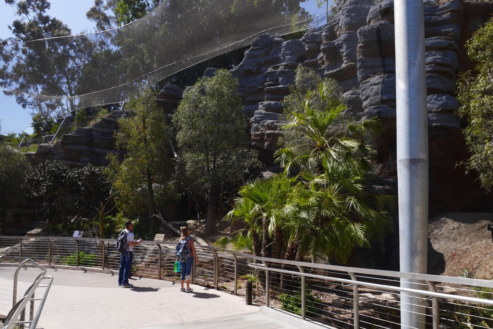 Fossa Exhibit, Madagascar Forest - My First US Zoo Trip