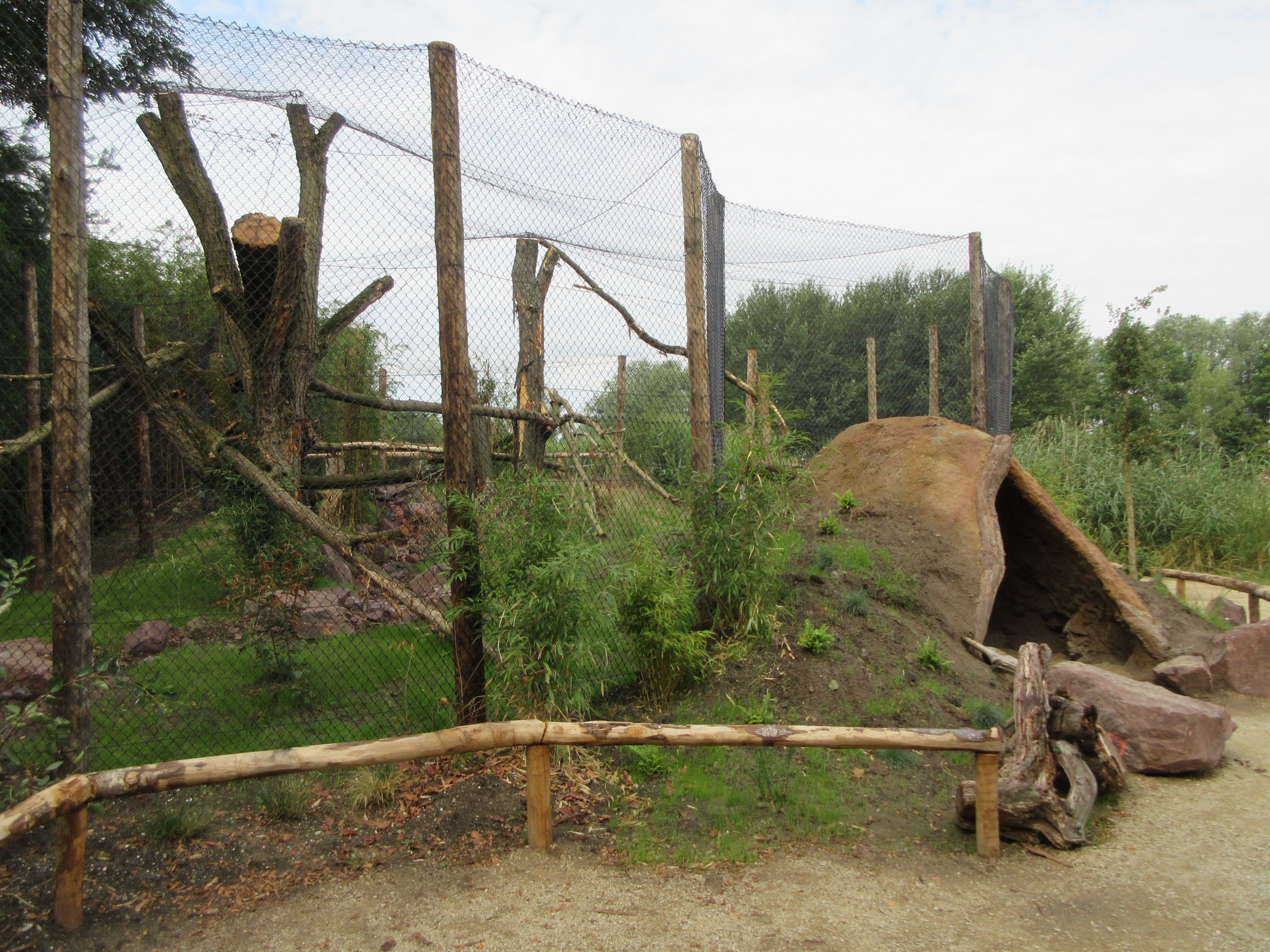 Fossa Exhibit (New in 2019)