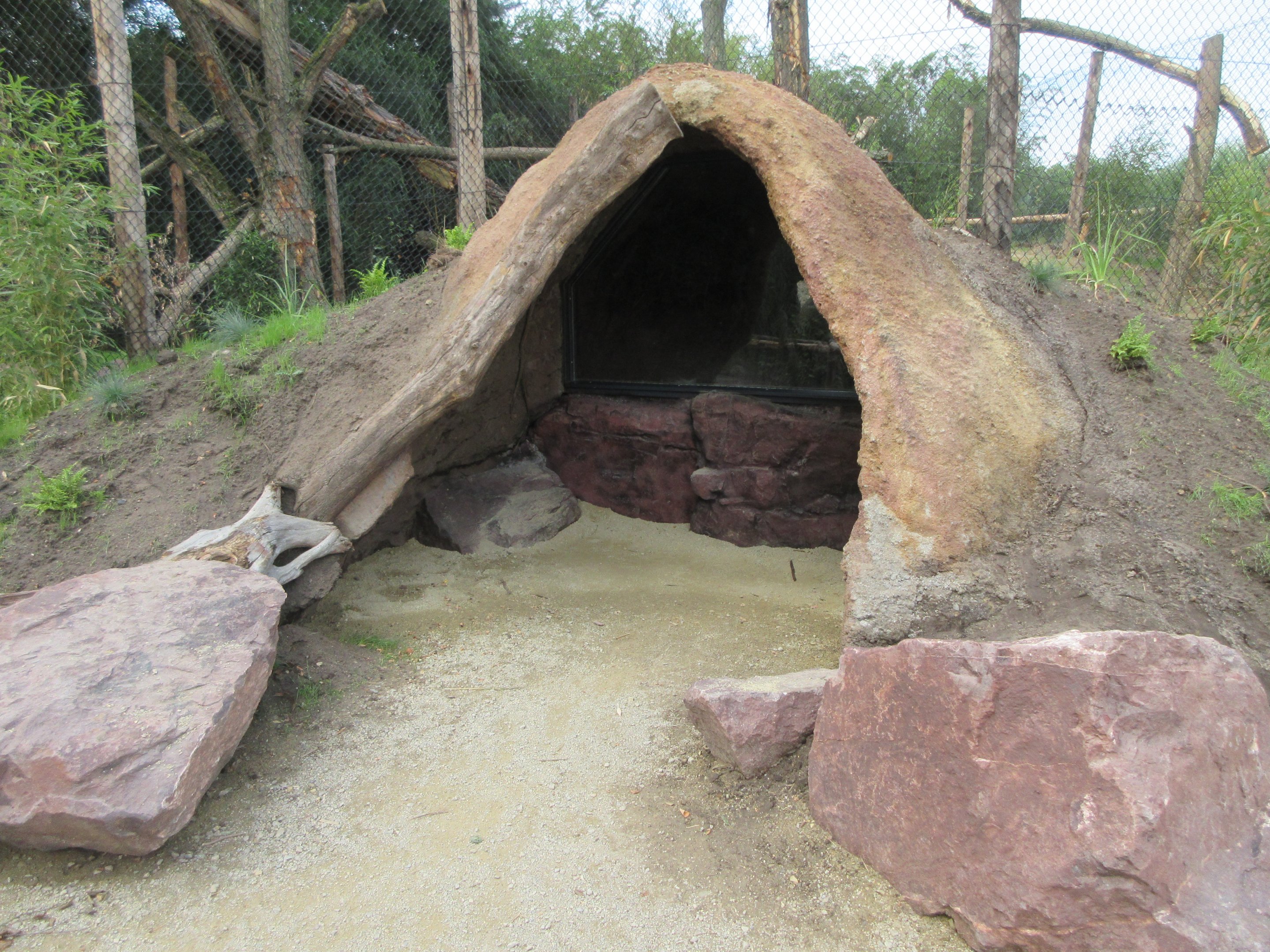 Fossa Exhibit (New in 2019)