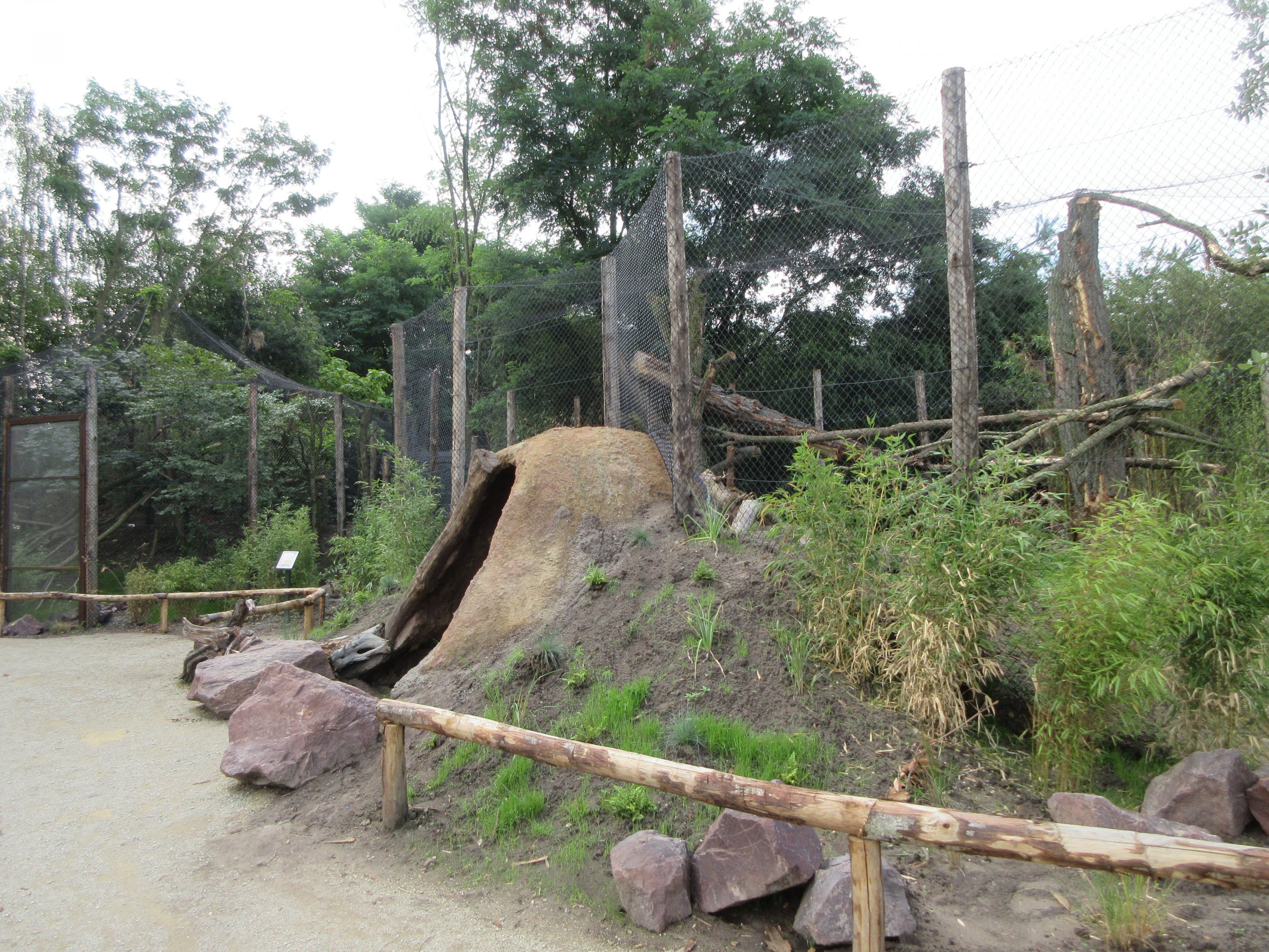 Fossa Exhibit (New in 2019)