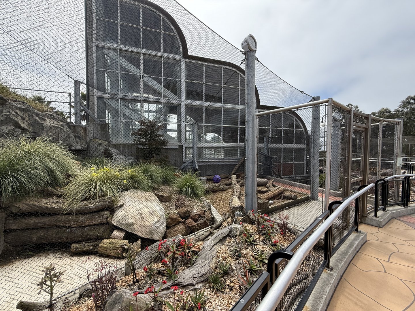 Fossa exhibit upper part