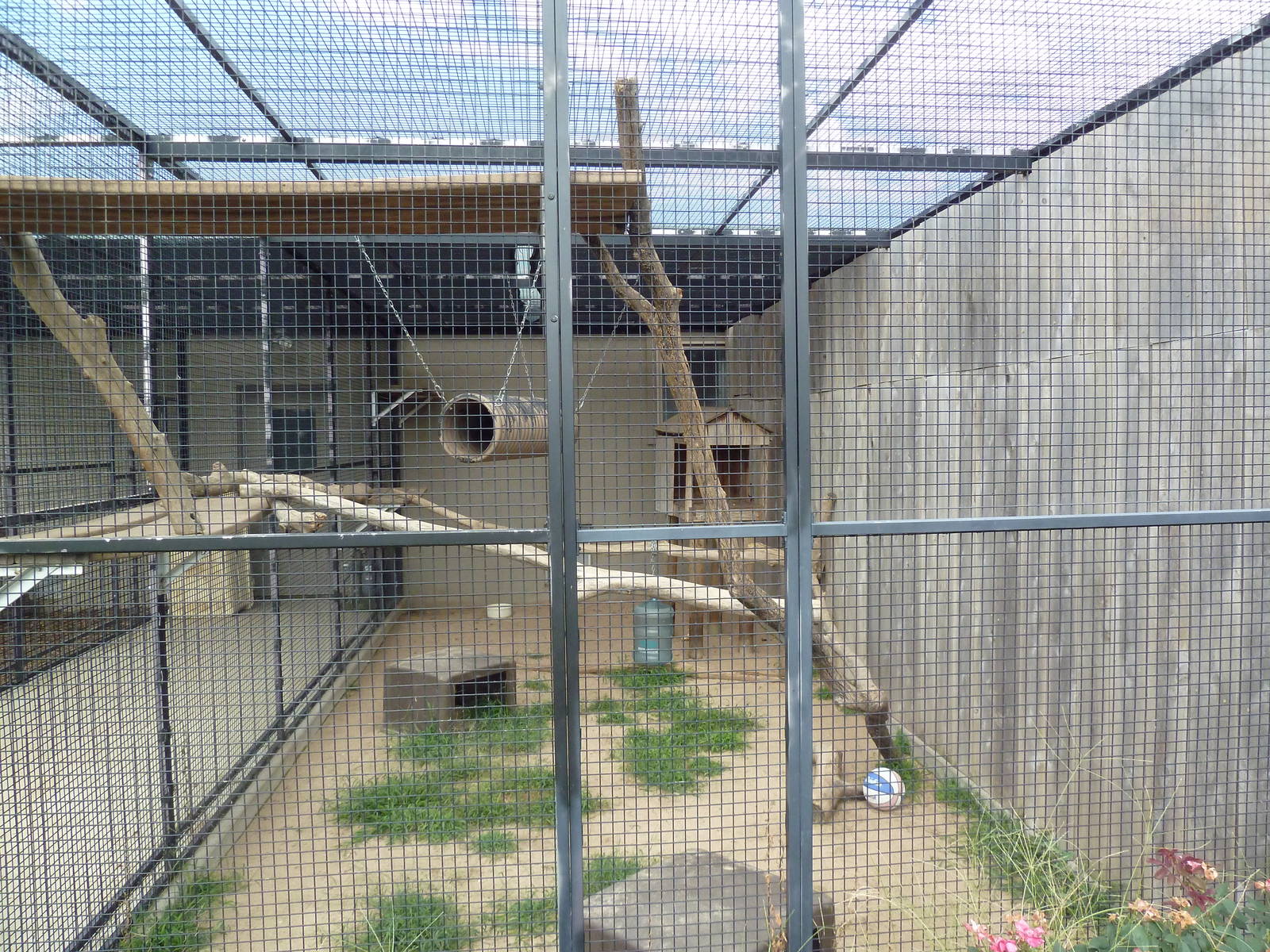 Fossa Exhibit