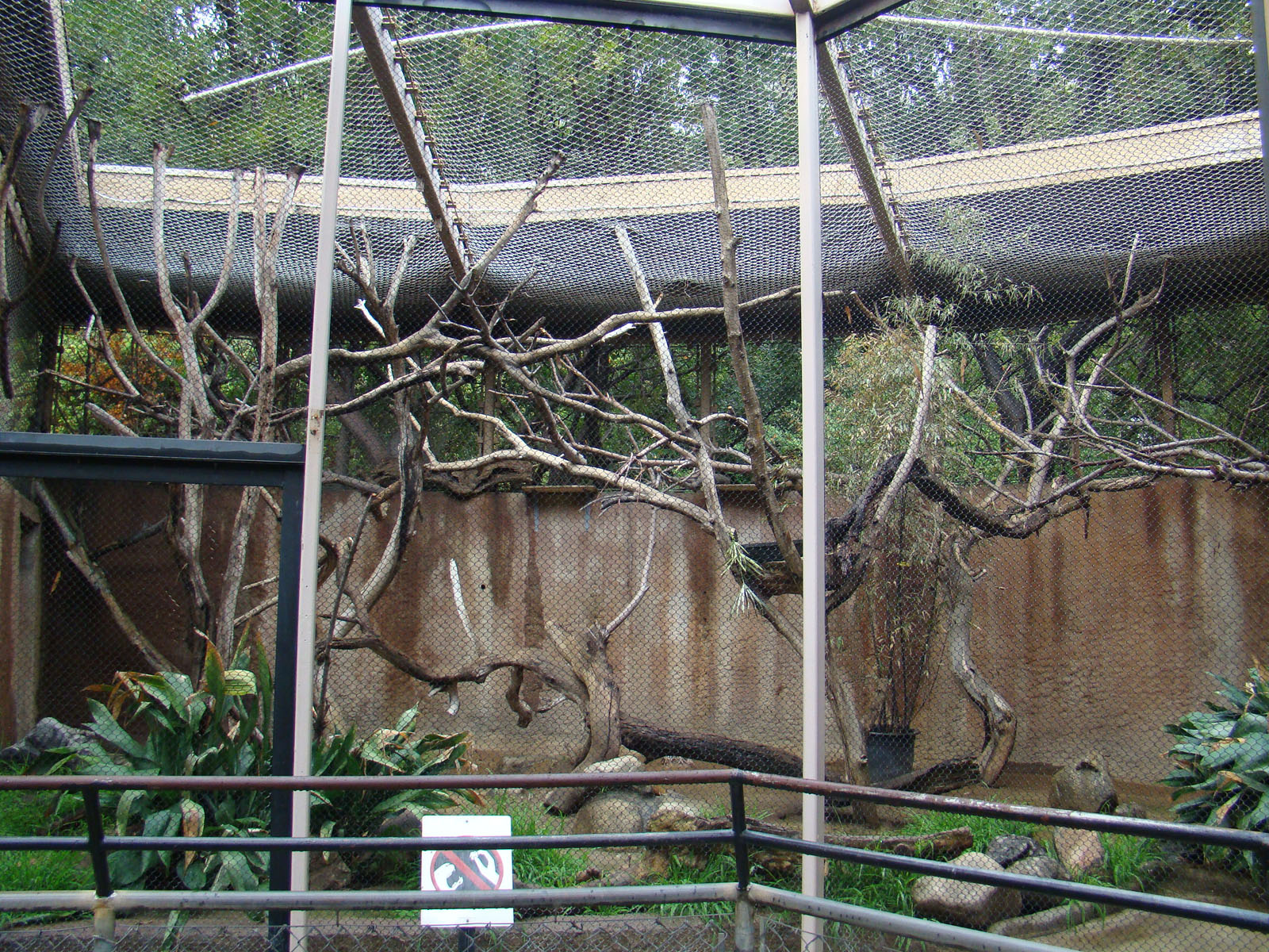 Fossa exhibit