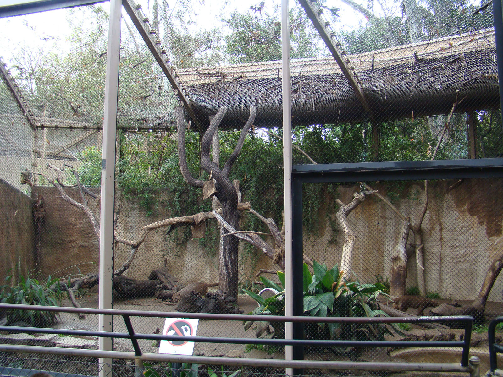 Fossa exhibit