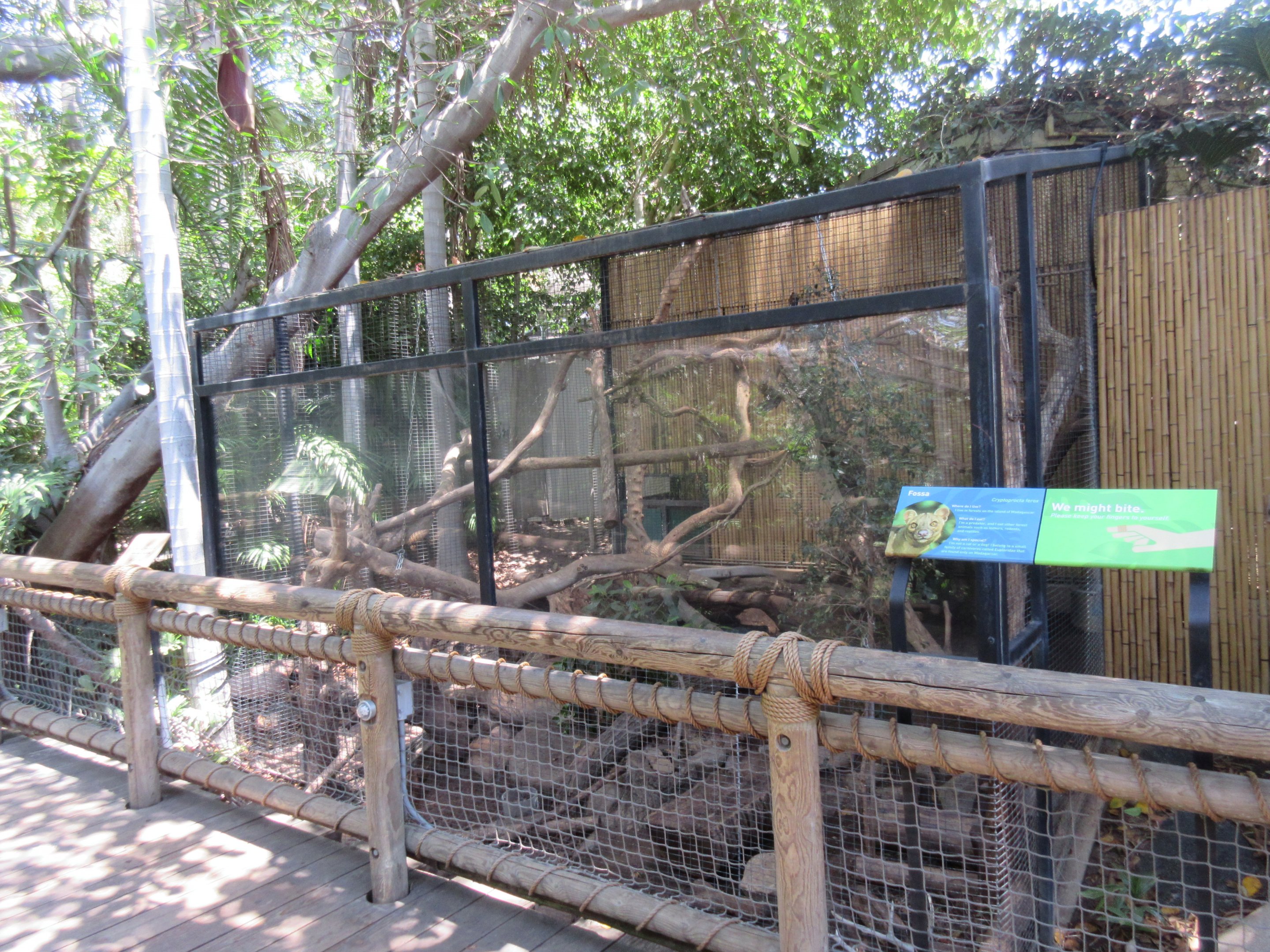 Fossa Exhibit