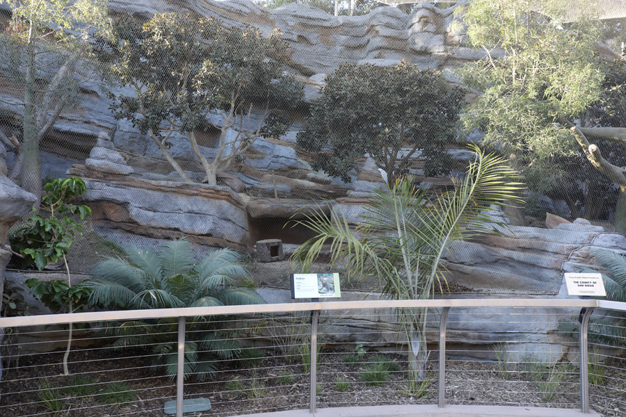 fossa exhibit