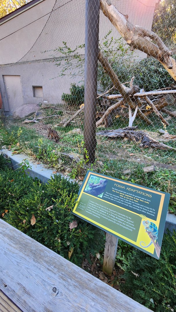 Fossa Exhibit