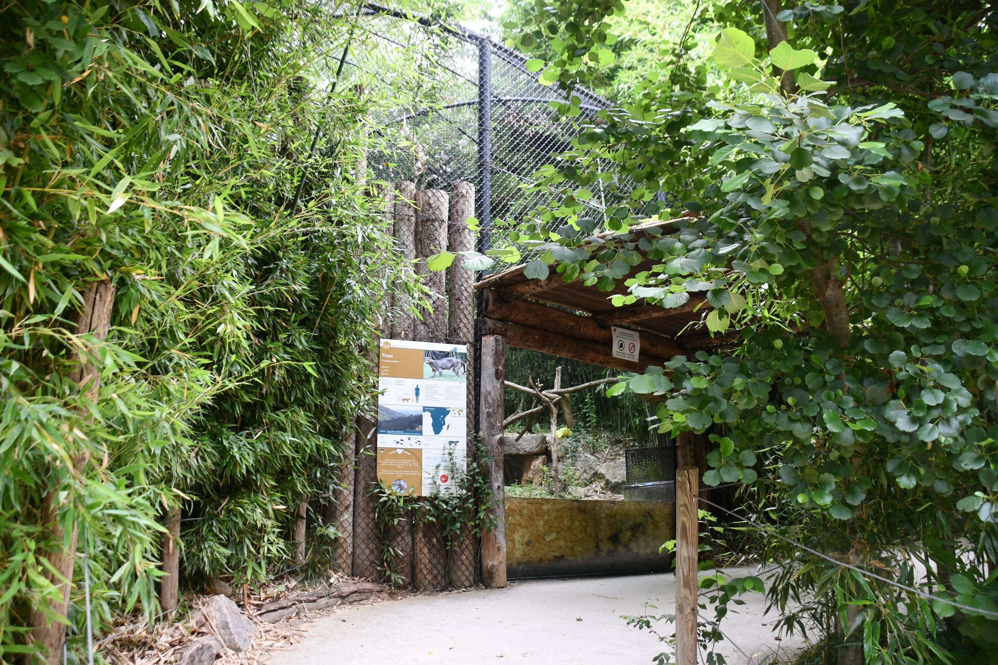 Fossa exhibit