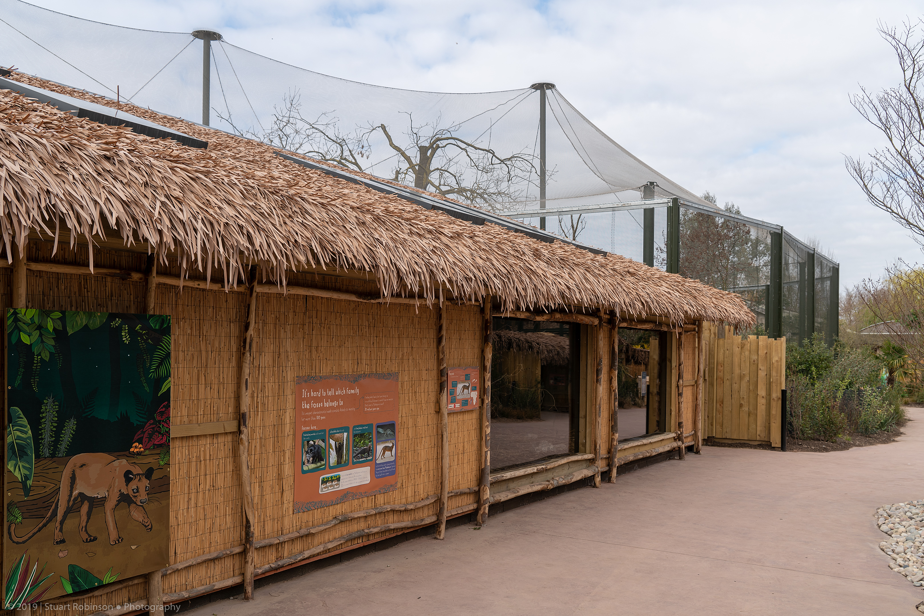 Fossa House - Madagascar Exhibit - 26/03/2019