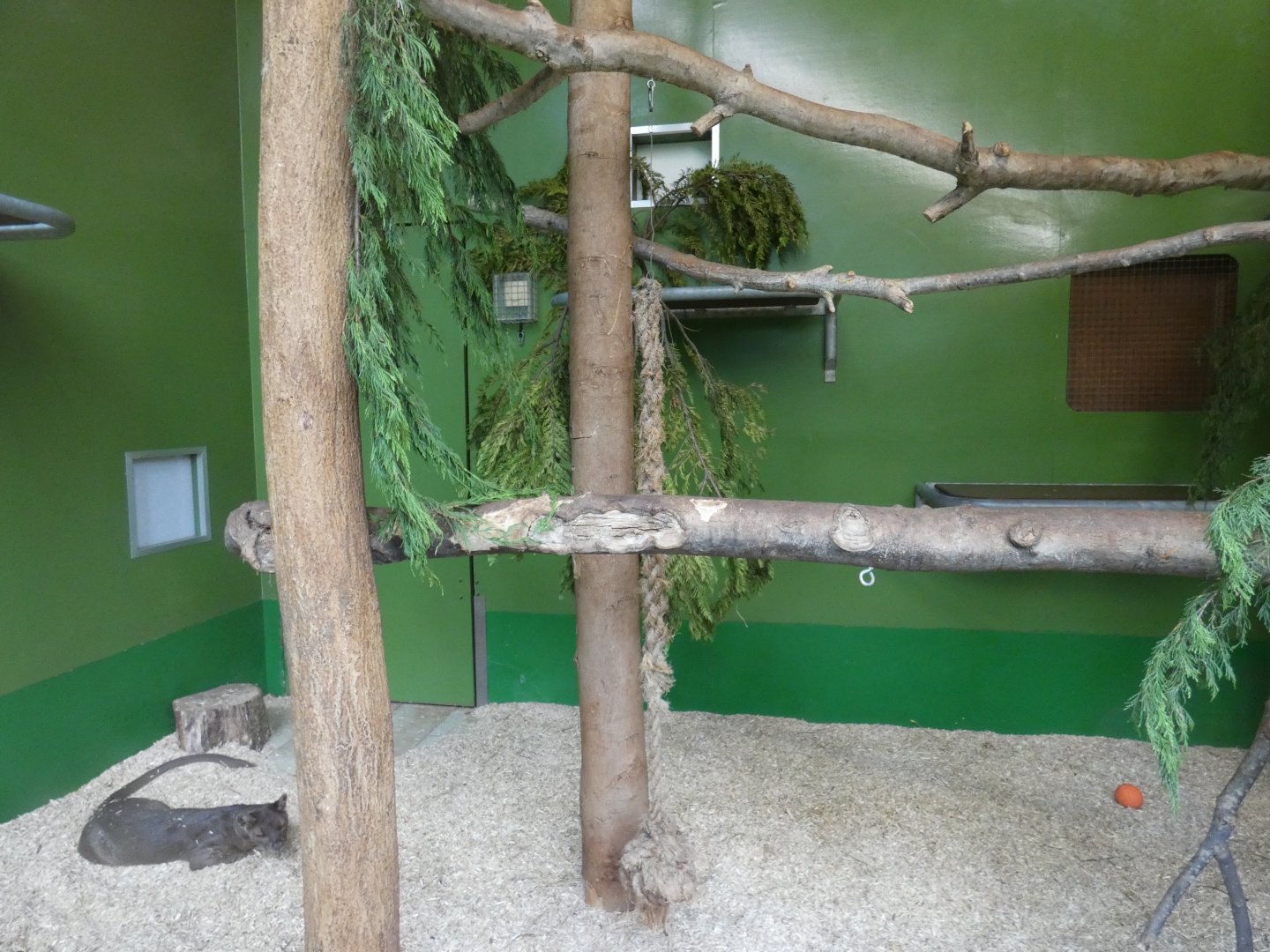 Fossa indoor enclosure