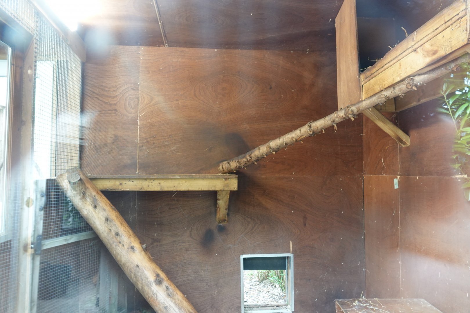 Fossa indoor enclosure