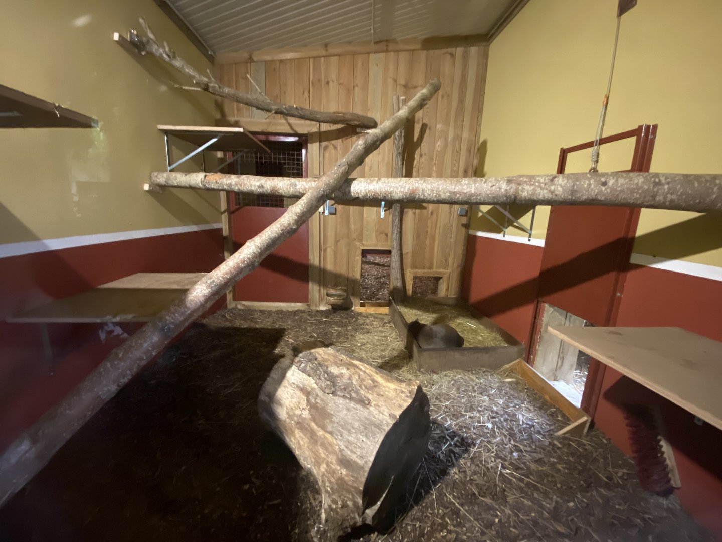 Fossa indoor exhibit