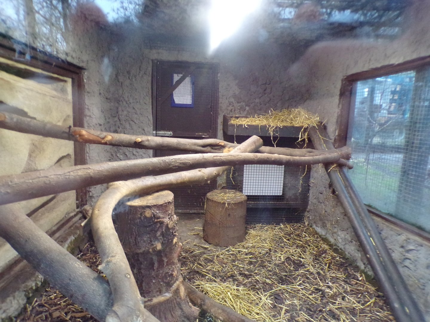 Fossa indoors 1.1.23