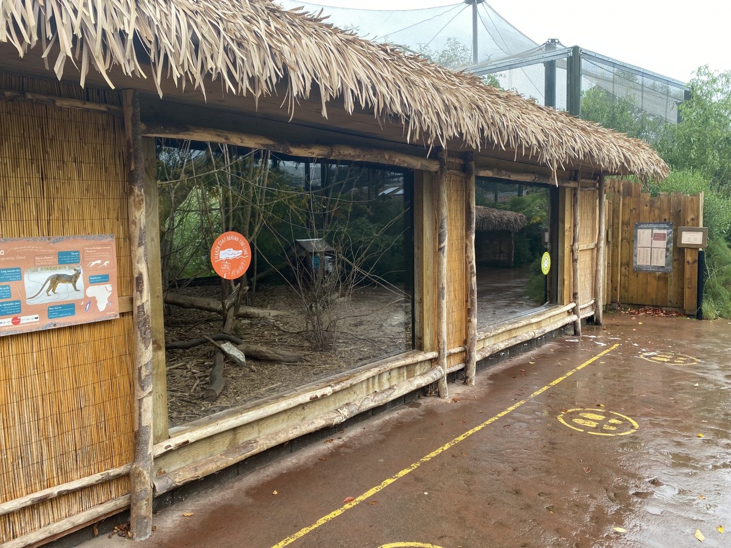 Fossa indoors 191021