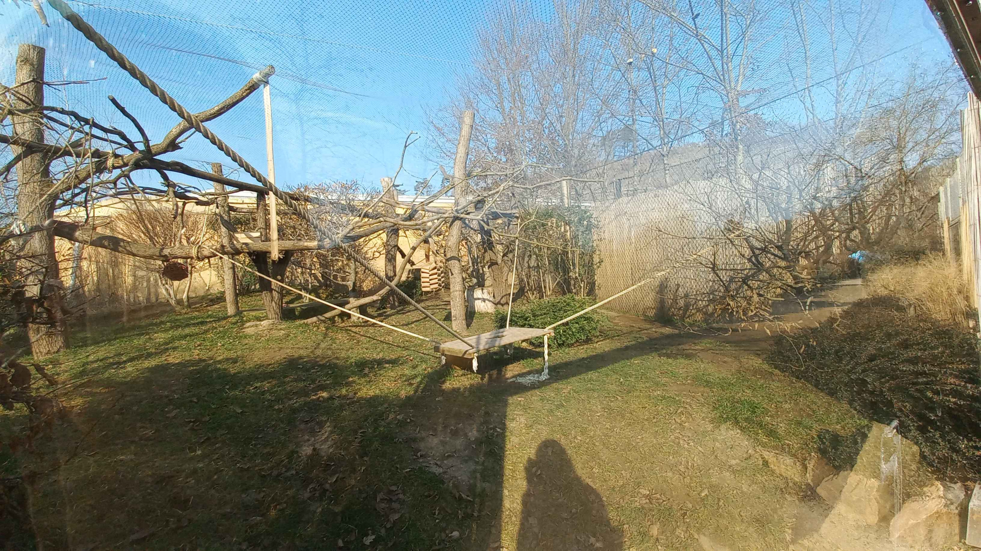 Fossa - Outdoor enclosure