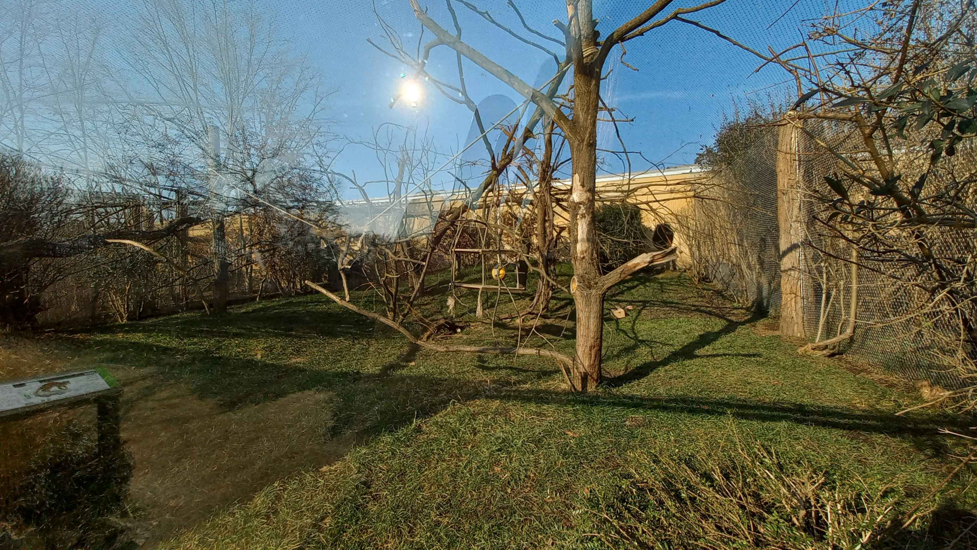 Fossa - Outdoor enclosure