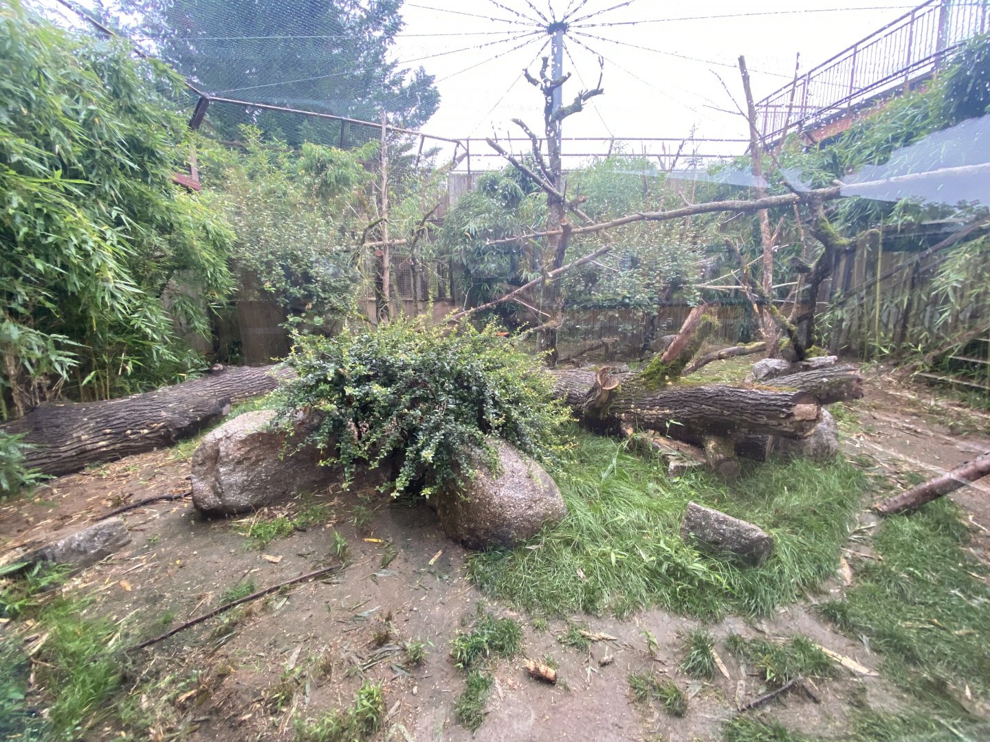 Fossa outdoor exhibit