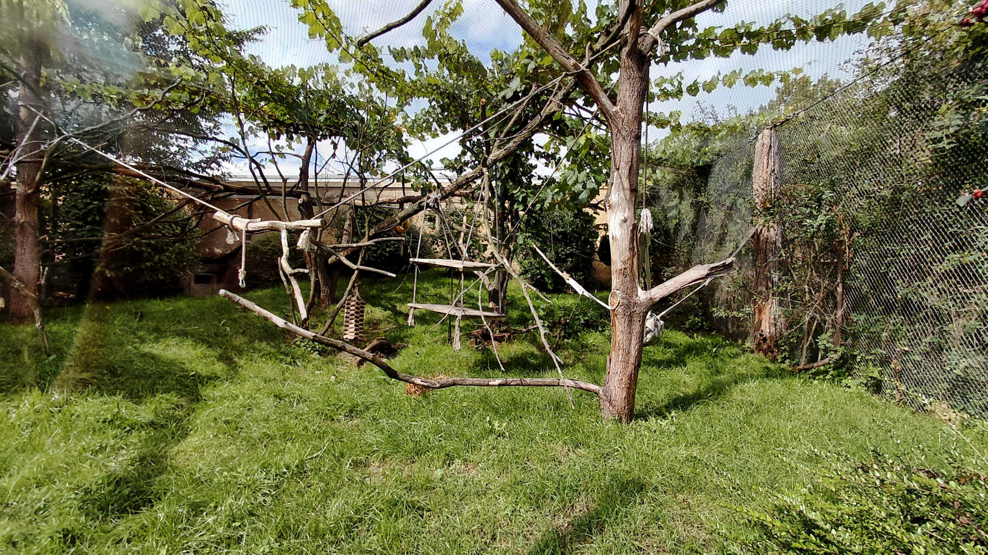 Fossa outdoor exhibit