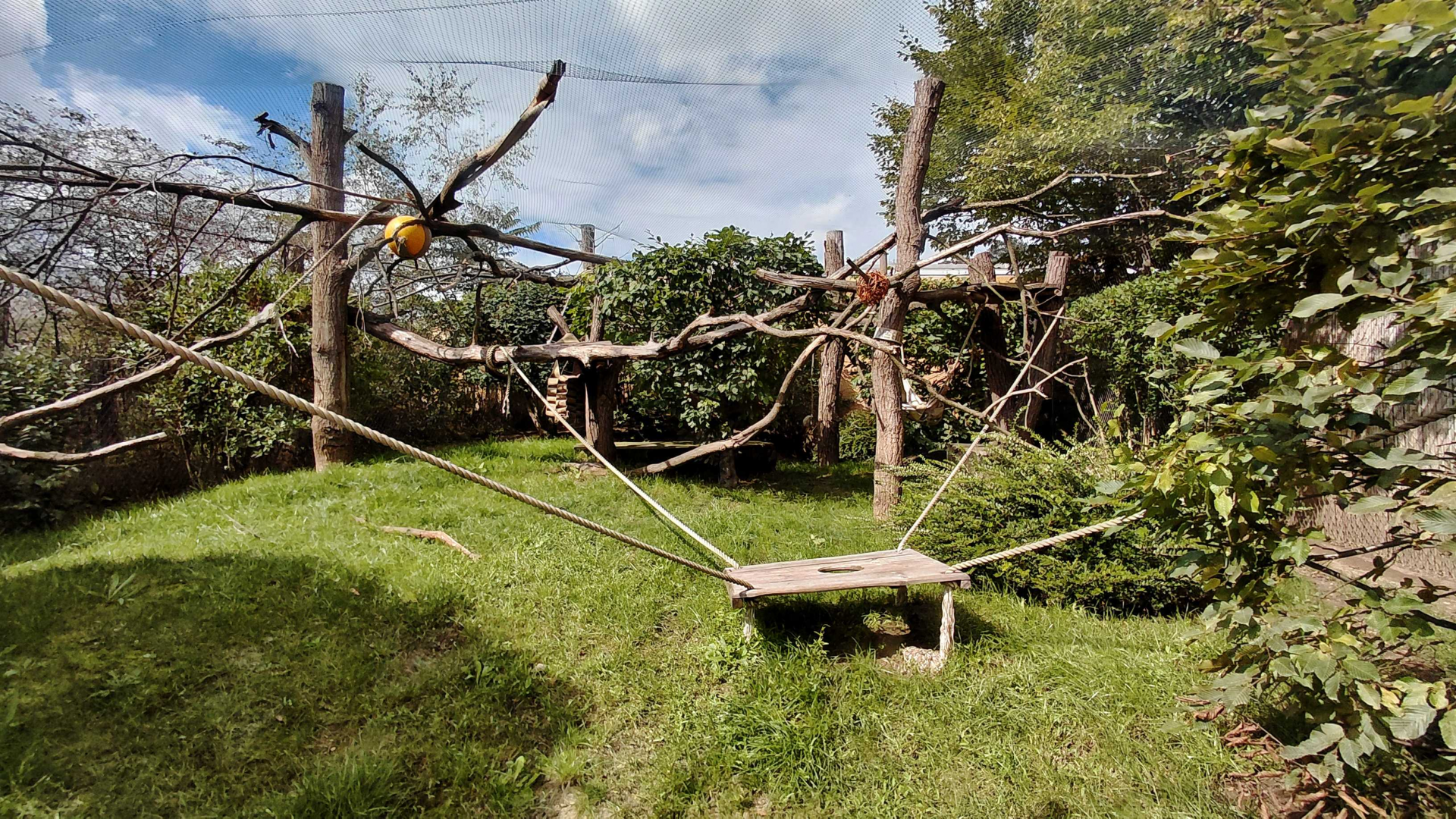 Fossa outdoor exhibit
