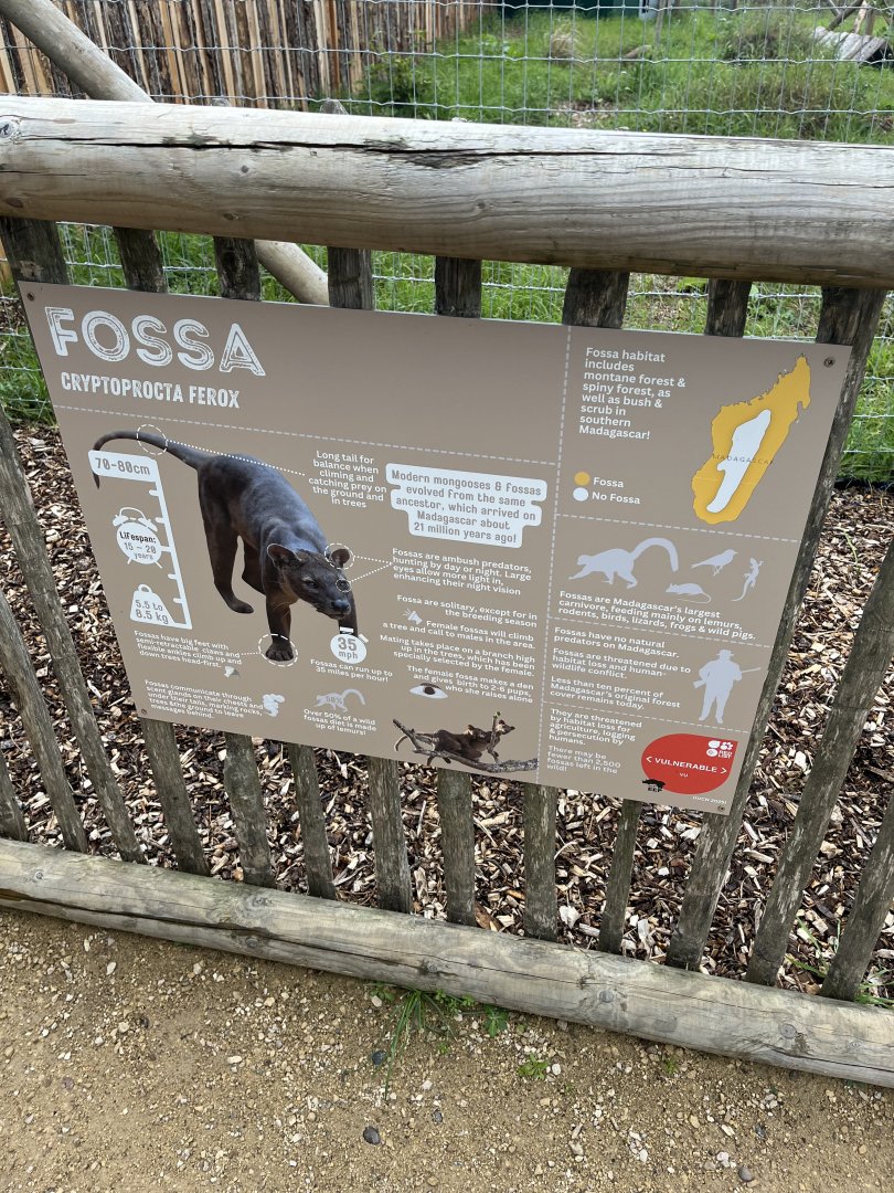 Fossa signage 1.9.25
